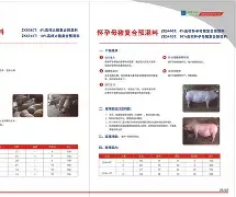 英雄联盟官网-progdvb中文版