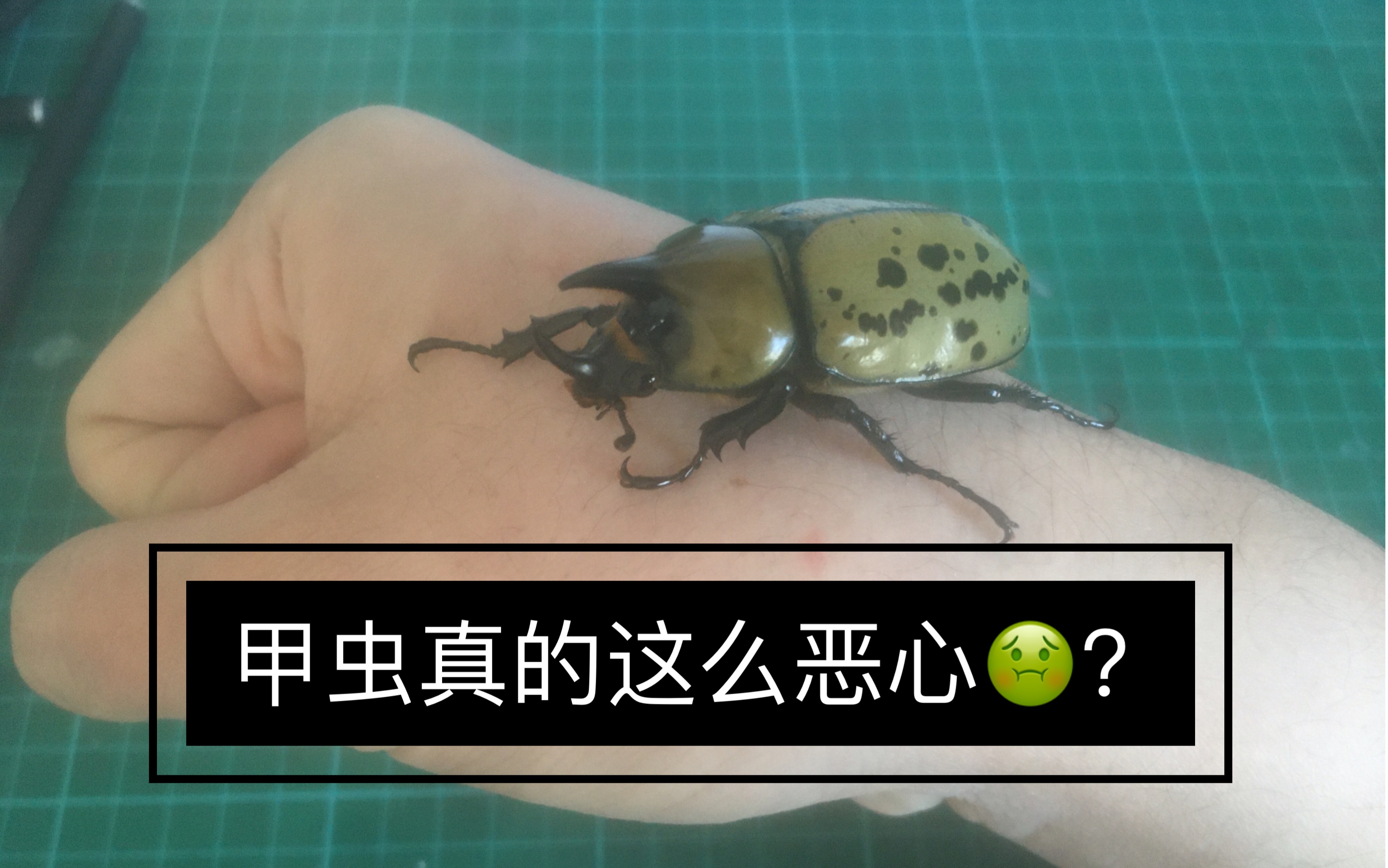 enema系列 enema系列